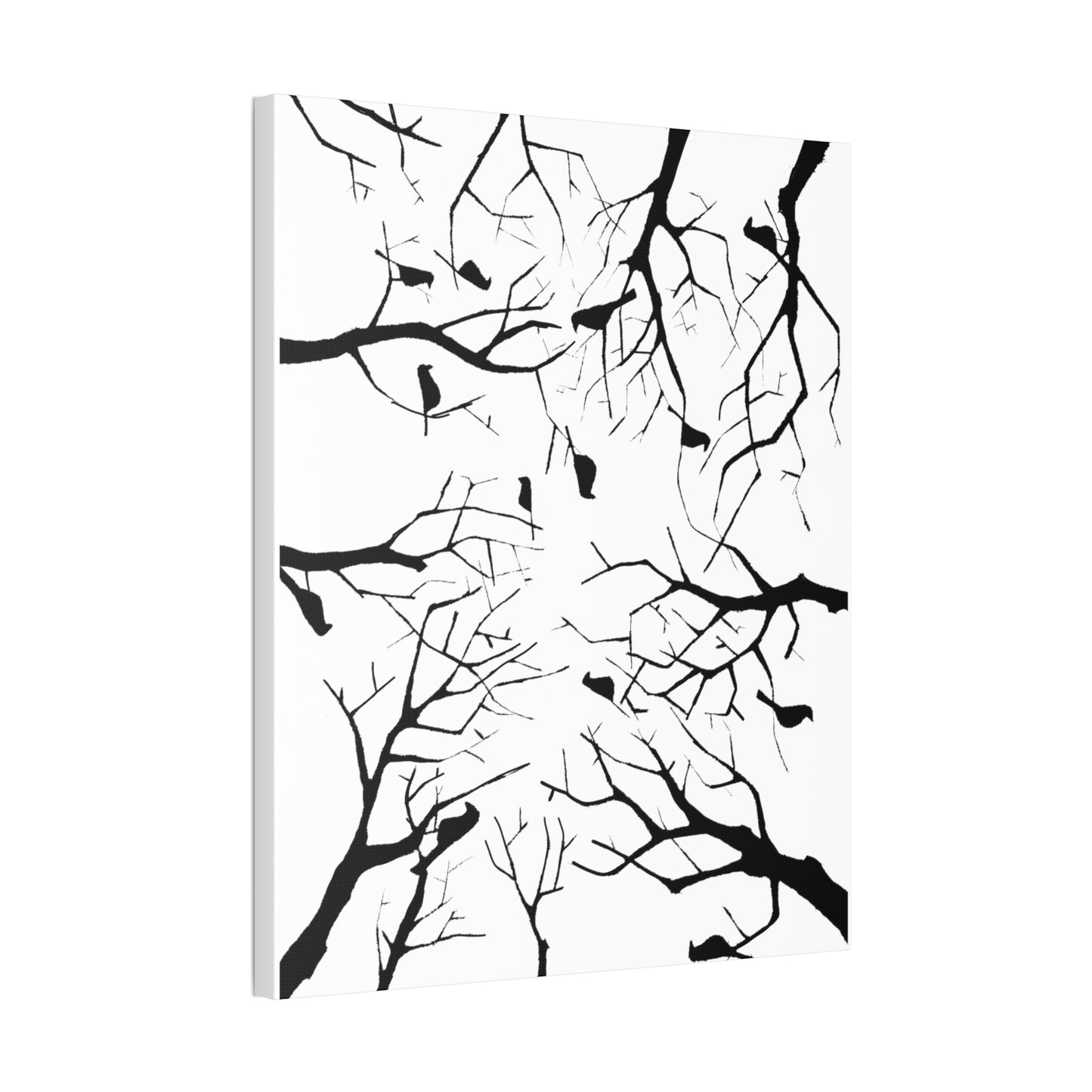 Birds in Trees with White Background on Classic Stretched Canvas