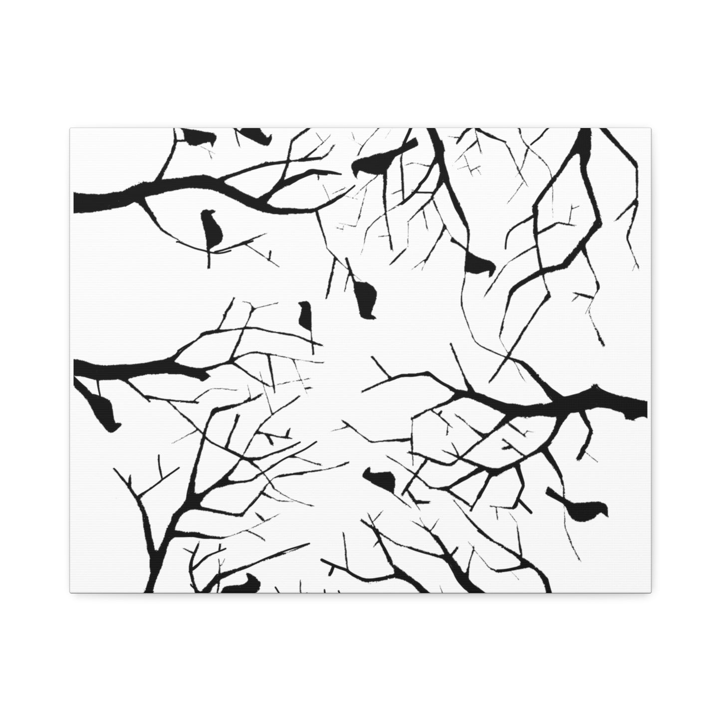 Birds in Trees with White Background on Classic Stretched Canvas