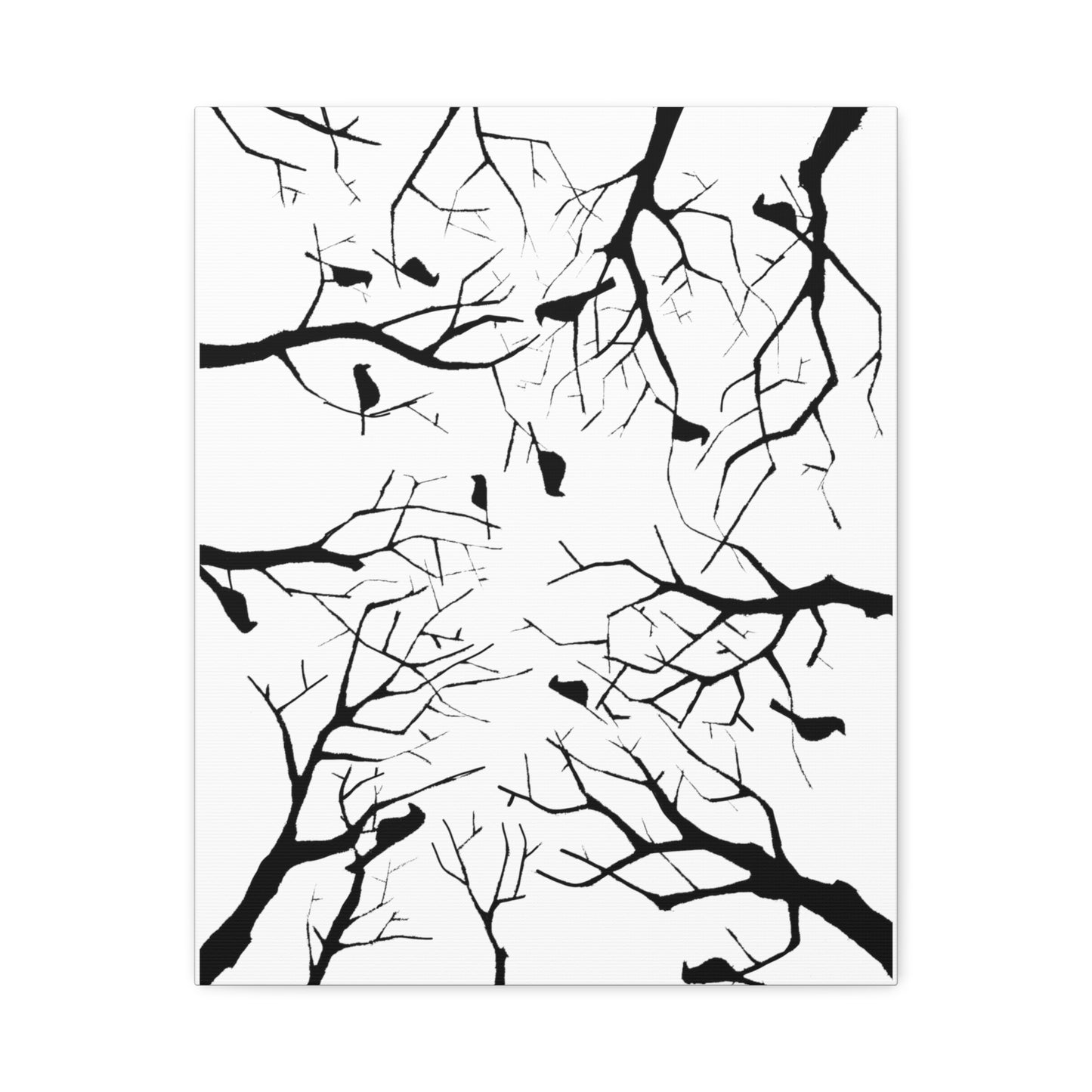 Birds in Trees with White Background on Classic Stretched Canvas