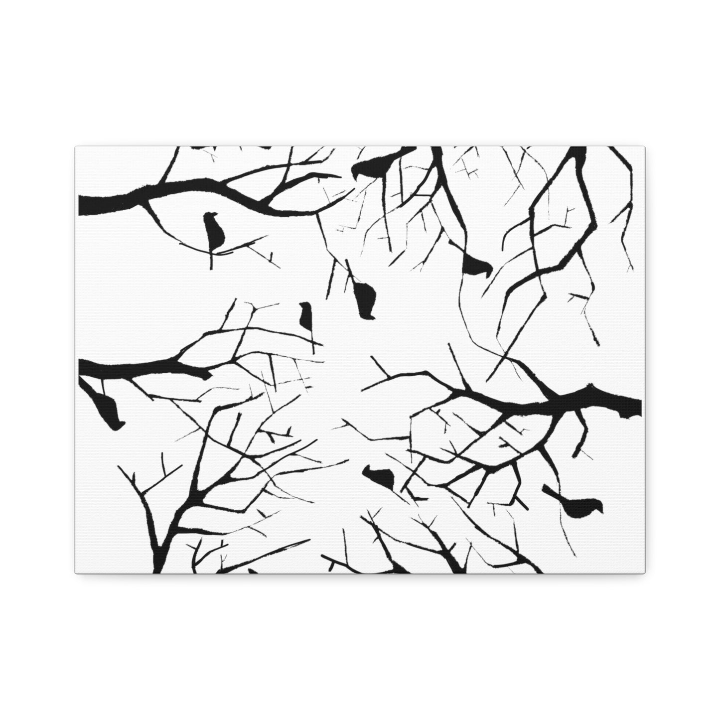 Birds in Trees with White Background on Classic Stretched Canvas