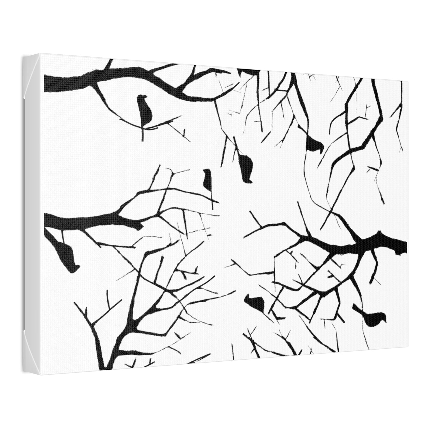 Birds in Trees with White Background on Classic Stretched Canvas