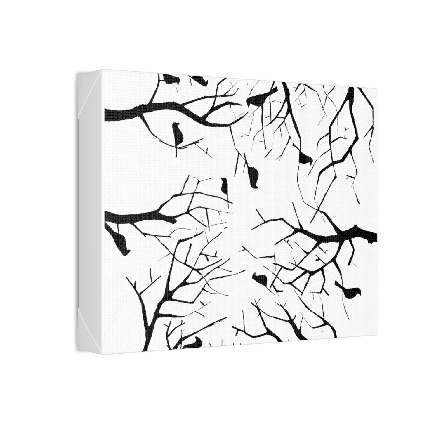 Birds in Trees with White Background on Classic Stretched Canvas