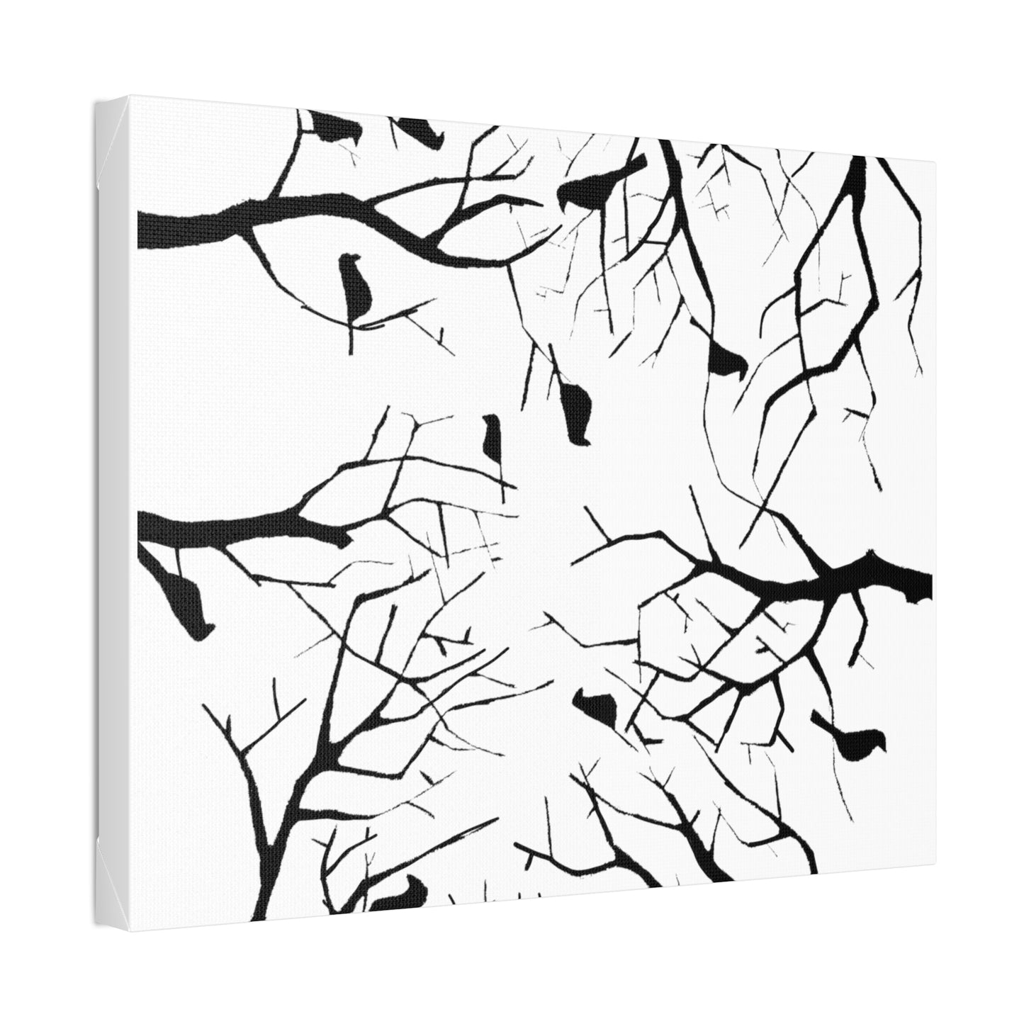 Birds in Trees with White Background on Classic Stretched Canvas