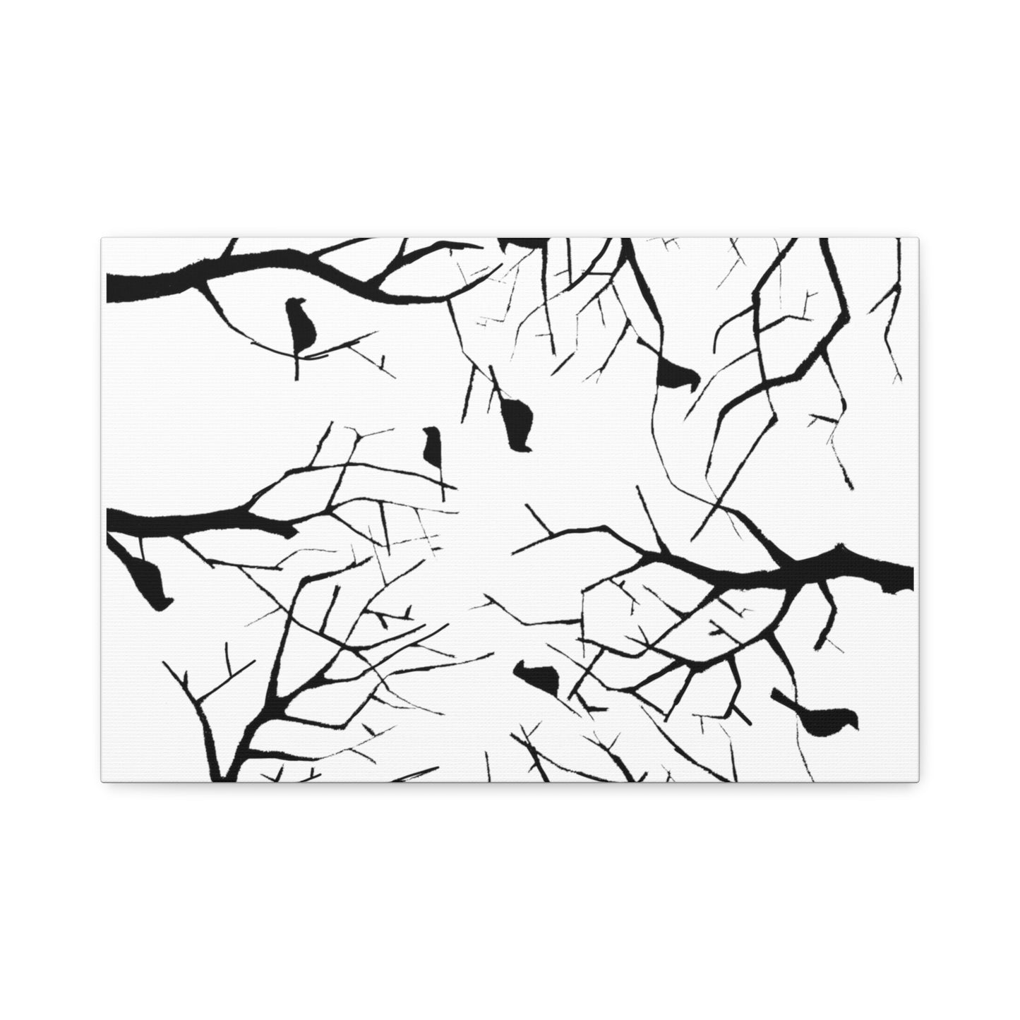 Birds in Trees with White Background on Classic Stretched Canvas